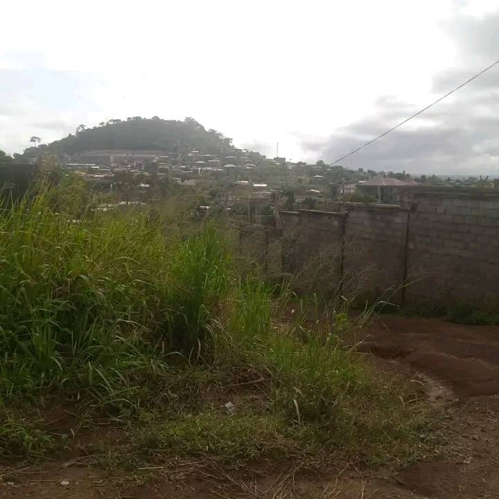 terrain à vendre à biemassi