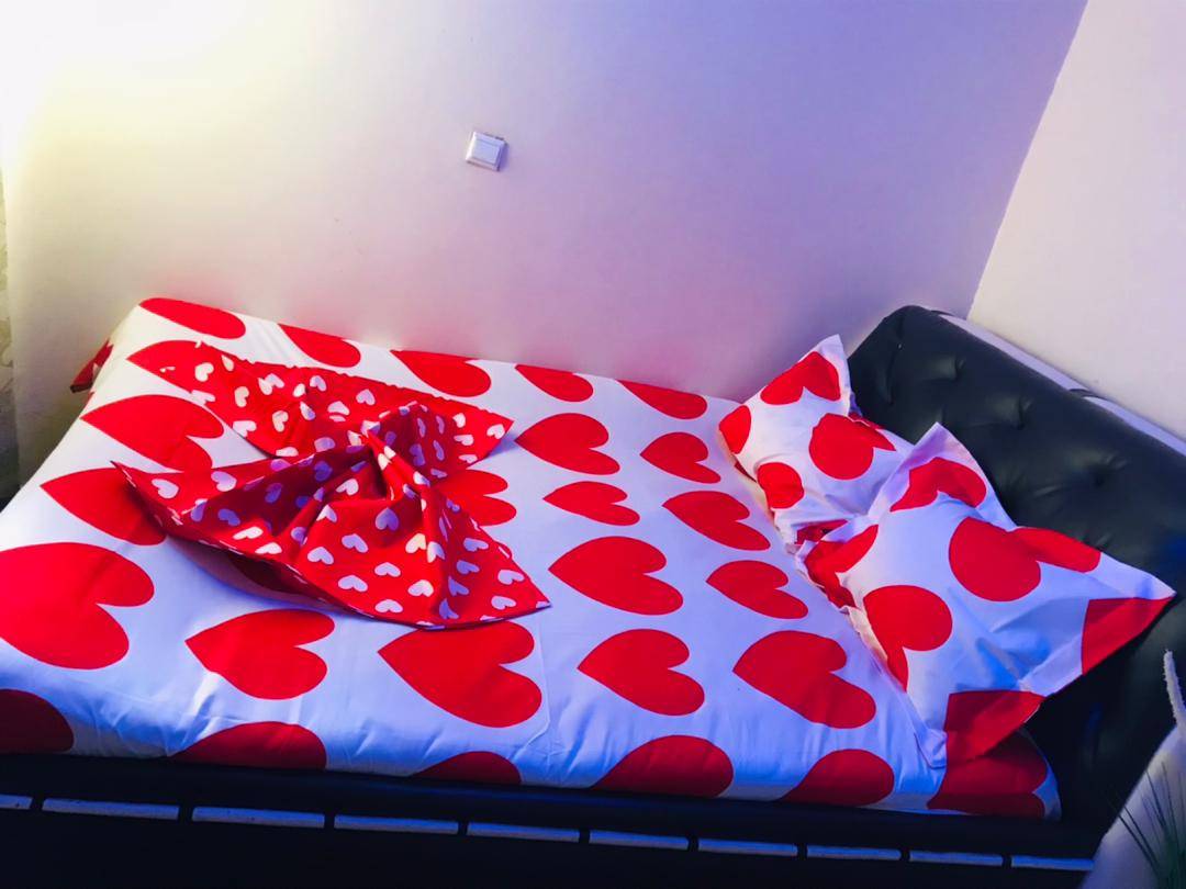 studio meublé a loué a monté jouvence