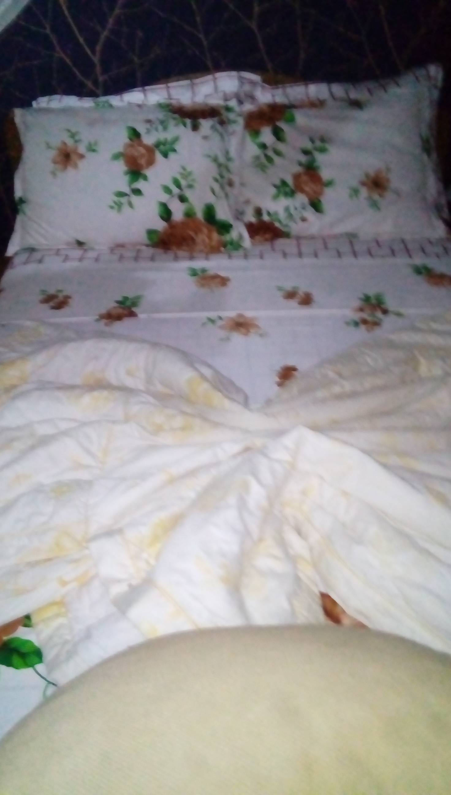 Hôtel En Bordure De Mer