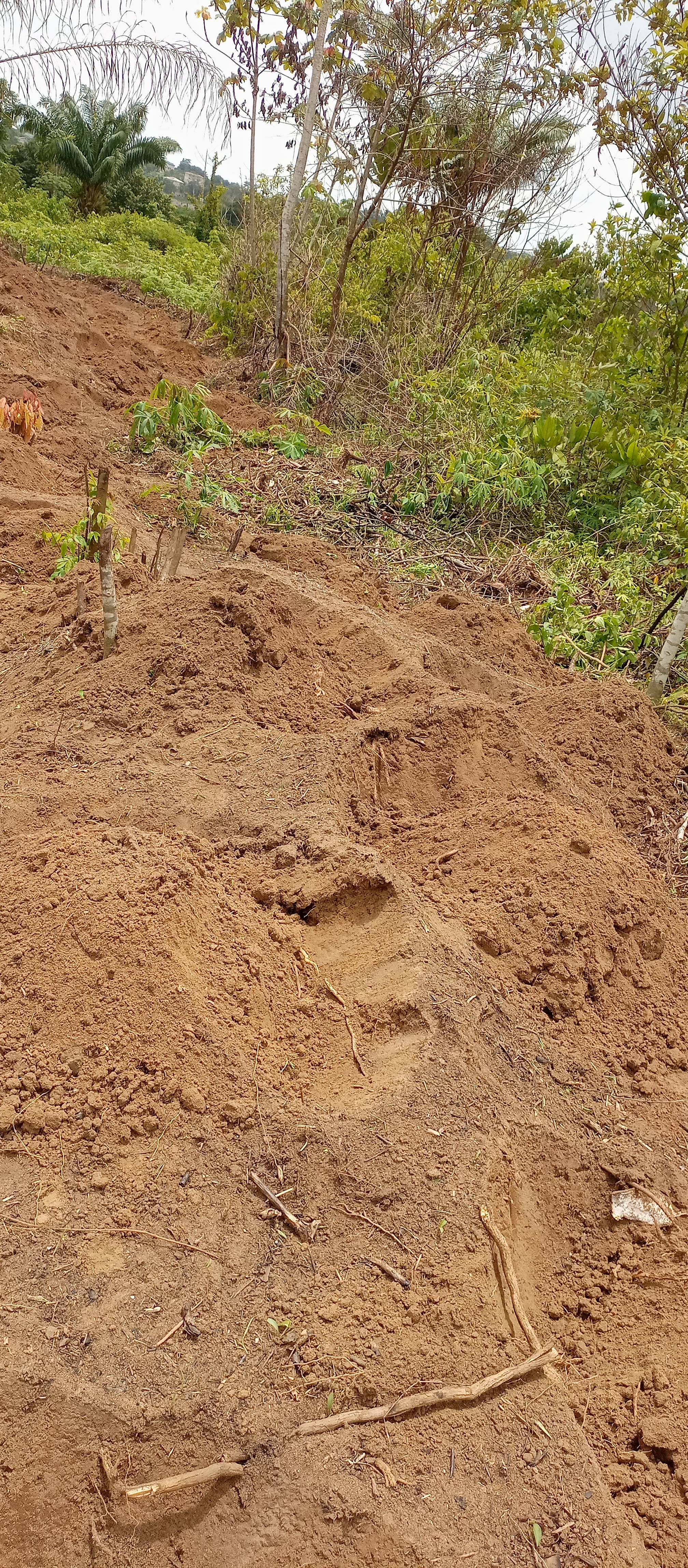 Terrain à Pk14, lieu dit Papas